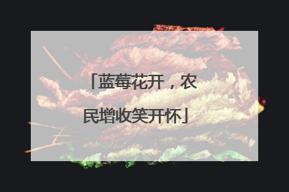 蓝莓花开，农民增收笑开怀