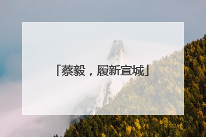 蔡毅，履新宣城