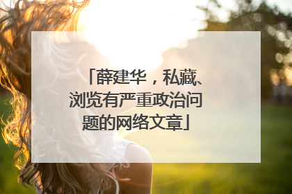 薛建华，私藏、浏览有严重政治问题的网络文章