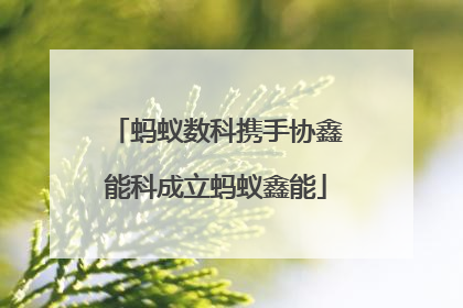 蚂蚁数科携手协鑫能科成立蚂蚁鑫能