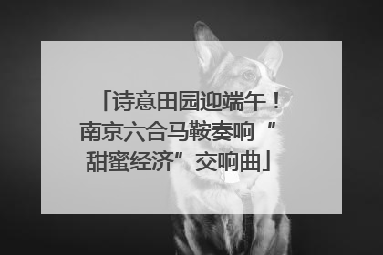 诗意田园迎端午！南京六合马鞍奏响“甜蜜经济”交响曲