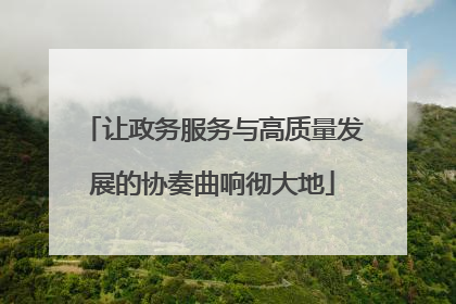 让政务服务与高质量发展的协奏曲响彻大地
