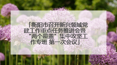 衡阳市召开新兴领域党建工作重点任务推进会暨“两个覆盖”集中攻坚工作专班 第一次会议