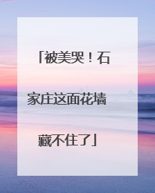 被美哭！石家庄这面花墙藏不住了