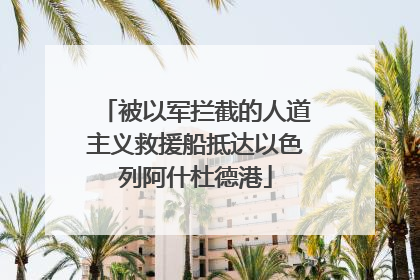 被以军拦截的人道主义救援船抵达以色列阿什杜德港