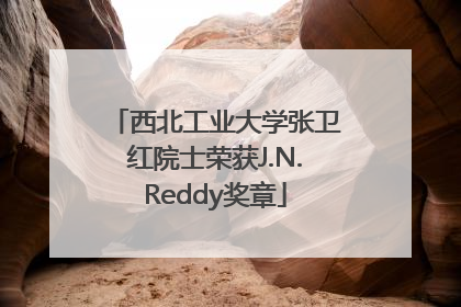 西北工业大学张卫红院士荣获J.N.Reddy奖章