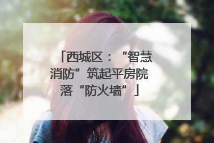西城区：“智慧消防”筑起平房院落“防火墙”