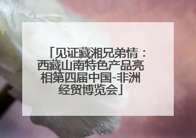 见证藏湘兄弟情：西藏山南特色产品亮相第四届中国-非洲经贸博览会