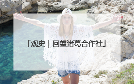 观史｜回望诸葛合作社