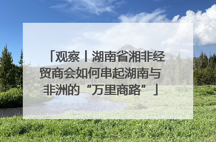 观察丨湖南省湘非经贸商会如何串起湖南与非洲的“万里商路”