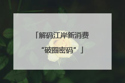 解码江岸新消费“破圈密码”