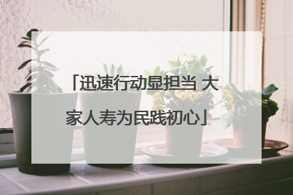 迅速行动显担当 大家人寿为民践初心