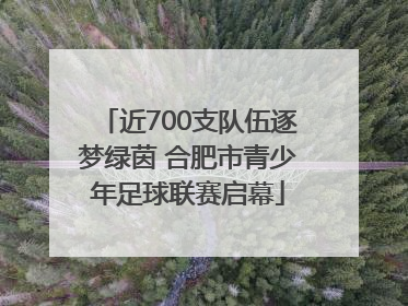 近700支队伍逐梦绿茵 合肥市青少年足球联赛启幕