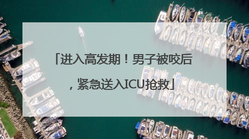 进入高发期！男子被咬后，紧急送入ICU抢救