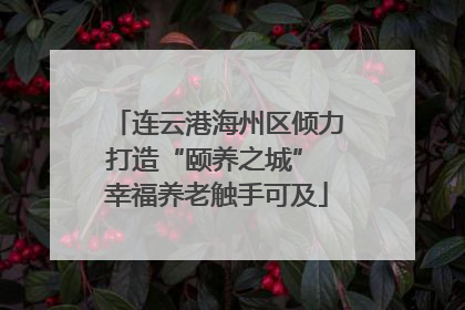 连云港海州区倾力打造“颐养之城” 幸福养老触手可及