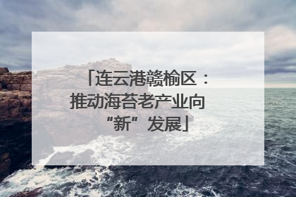 连云港赣榆区：推动海苔老产业向“新”发展