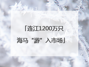 连江1200万只海马“游”入市场