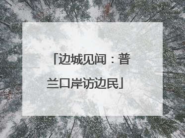 边城见闻：普兰口岸访边民
