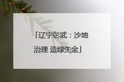 辽宁彰武：沙地治理 造绿生金