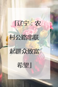 辽宁：农村公路串联起群众致富希望