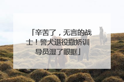 辛苦了，无言的战士！警犬退役撒娇训导员湿了眼眶