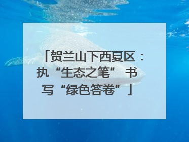 贺兰山下西夏区：执“生态之笔” 书写“绿色答卷”