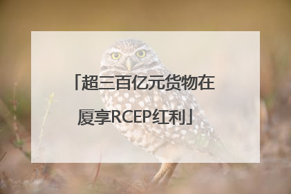超三百亿元货物在厦享RCEP红利