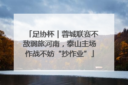 足协杯｜蓉城联赛不敌弱旅河南，泰山主场作战不妨“抄作业”