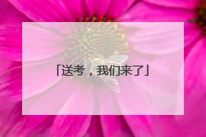 送考，我们来了
