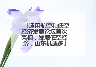 通用航空和低空经济发展论坛首次亮相，发展低空经济，山东机遇多