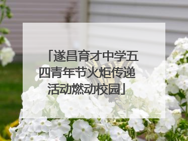 遂昌育才中学五四青年节火炬传递活动燃动校园