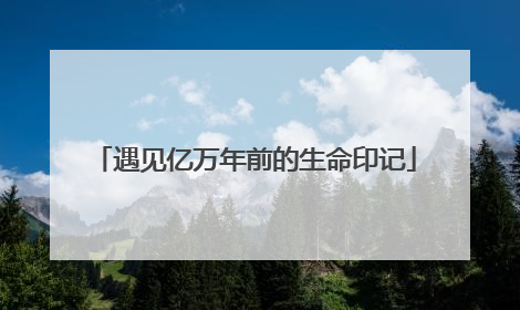 遇见亿万年前的生命印记