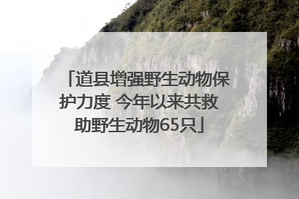 道县增强野生动物保护力度 今年以来共救助野生动物65只