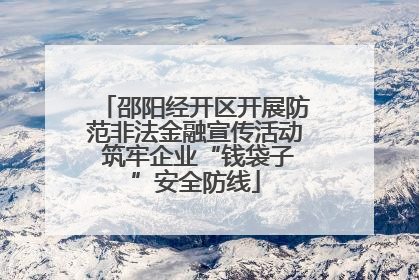 邵阳经开区开展防范非法金融宣传活动 筑牢企业“钱袋子”安全防线