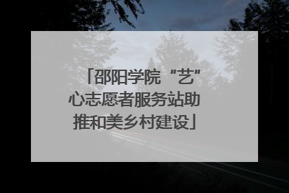 邵阳学院“艺”心志愿者服务站助推和美乡村建设