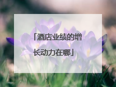 酒店业绩的增长动力在哪