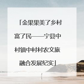 金果果美了乡村富了民——宁县中村镇中村村农文旅融合发展纪实