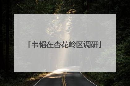 韦韬在杏花岭区调研