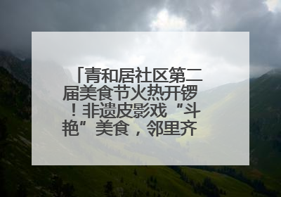 青和居社区第二届美食节火热开锣！非遗皮影戏“斗艳”美食，邻里齐聚“粽”享温情