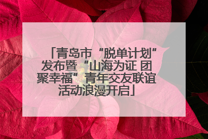 青岛市“脱单计划”发布暨“山海为证 团聚幸福”青年交友联谊活动浪漫开启