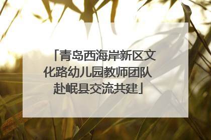 青岛西海岸新区文化路幼儿园教师团队赴岷县交流共建
