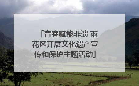 青春赋能非遗 雨花区开展文化遗产宣传和保护主题活动