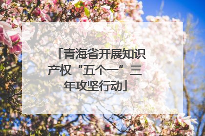 青海省开展知识产权“五个一”三年攻坚行动