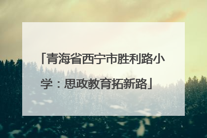 青海省西宁市胜利路小学：思政教育拓新路