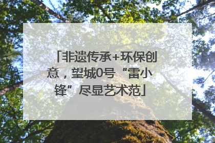 非遗传承+环保创意，望城0号“雷小锋”尽显艺术范
