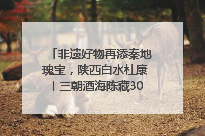 非遗好物再添秦地瑰宝，陕西白水杜康十三朝酒海陈藏30年别具一格