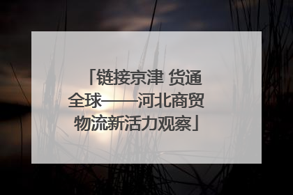 链接京津 货通全球——河北商贸物流新活力观察