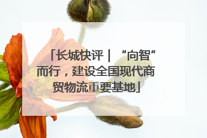 长城快评｜“向智”而行，建设全国现代商贸物流重要基地