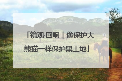 镜观·回响｜像保护大熊猫一样保护黑土地