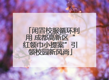 闲置校服循环利用 成都高新区“红领巾小提案”引领校园新风尚